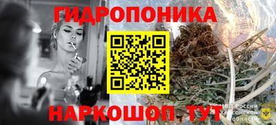 наркотики Боровичи