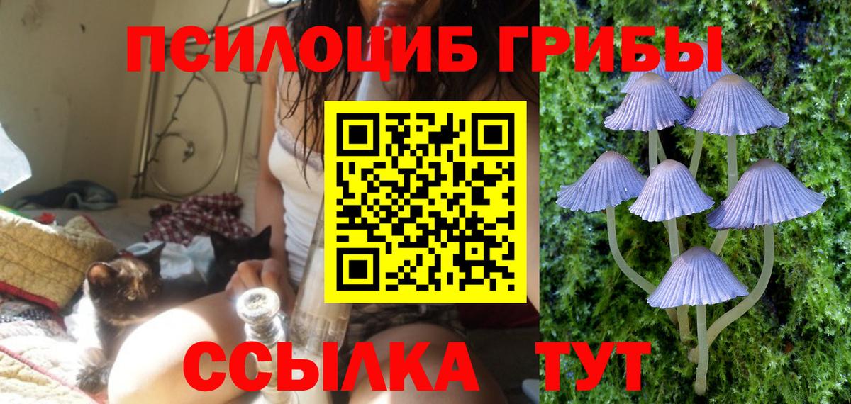 Галлюциногенные грибы мухоморы Дмитров